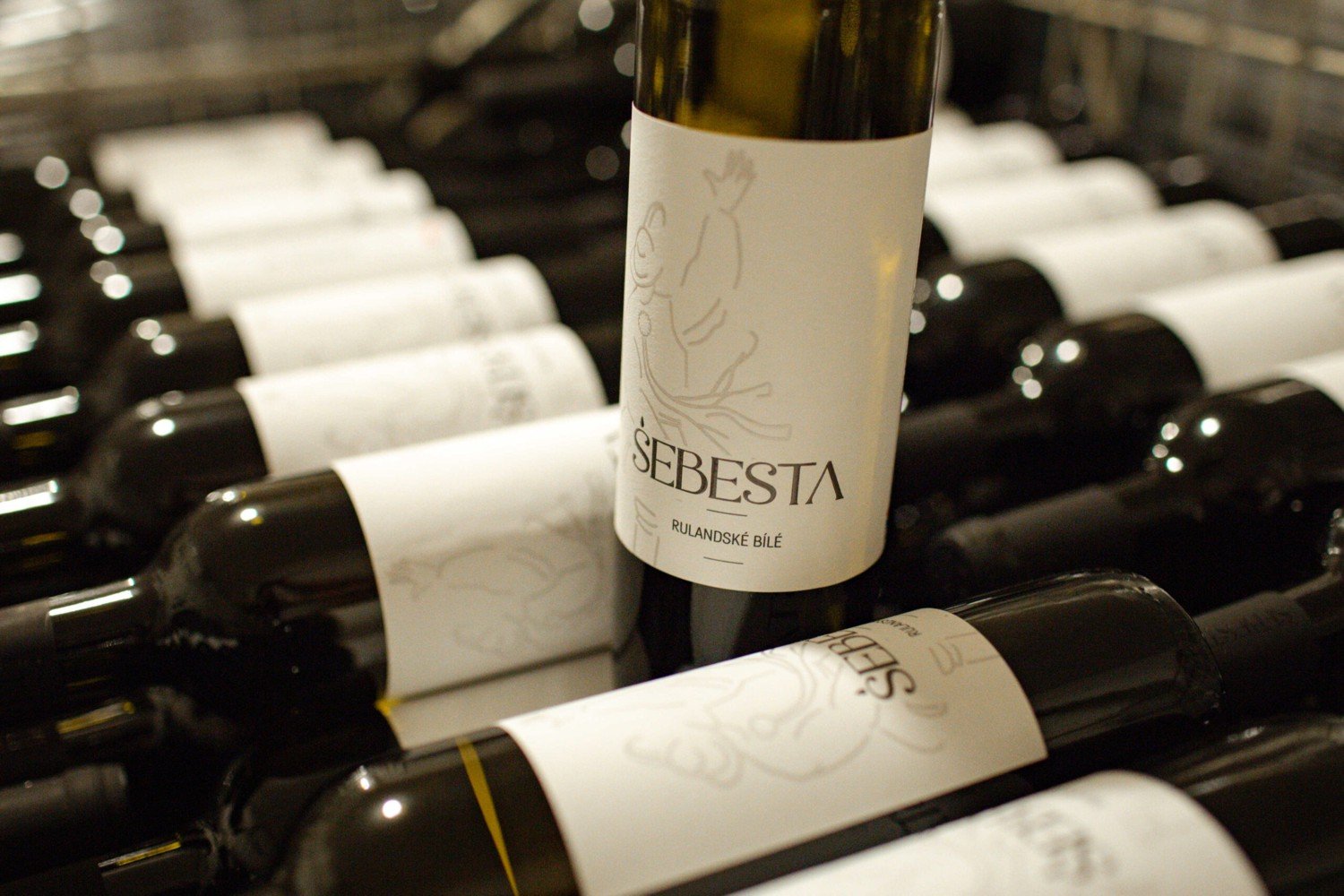Neobjevená vína Filipa Šebesty stojí za ochutnání