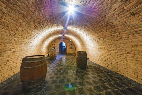 Prezentační sklep spolu s ubytováním je ve Starovicích (foto: www.vinarstvitomaszach.cz) Prezentační sklep spolu s ubytováním je ve Starovicích (foto: www.vinarstvitomaszach.cz)