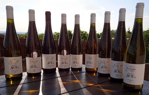 Vína Vinařství U Křížku mají jednotnou ambaláž (foto: www.vinarstviukrizku.cz)