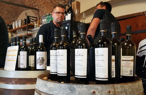 Vína Mikrosvínu Mikulov