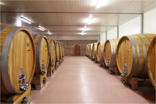 Nejlepší vína vinařství Moravíno zrají v dřevěných sudech (foto: www.moravino.cz)