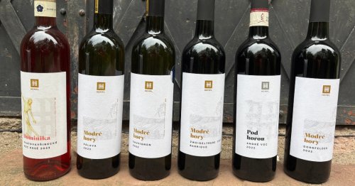 V nabídce Vinařství Hempl najdete i bílá vína, klíčová jsou ale zejména červená.