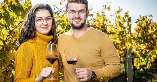 Vína z Vinařství Jiří Holešínský si nyní můžete vychutnat i prostřednictvím jeho e-shopu v Lahvotéce.