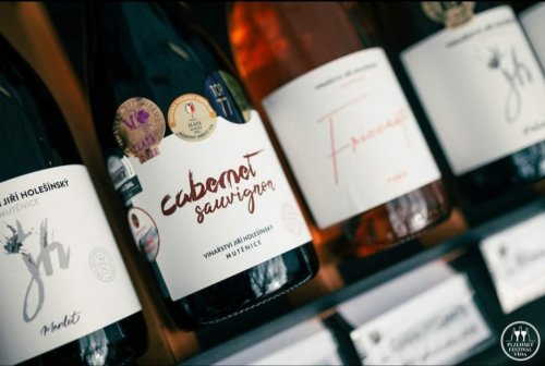 Lahev Cabernetu Sauvignon z Vinařství Jiří Holešínský.