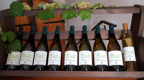 Vína mají jednotnou etiketu lahve vína