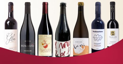Vinaři představili novinky. Nenechte si je ujít.