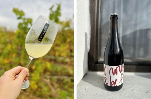 Mladá vína Vinařství Baraque a Syfany