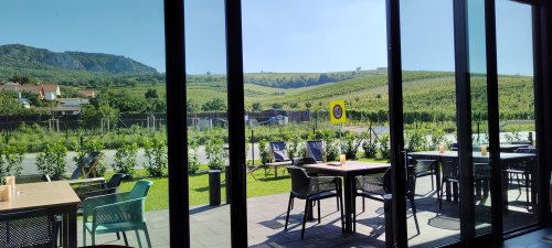 Výhled z vinného baru na vinice a vápencové stěny Pálavy výhled na vinice a Pálavu