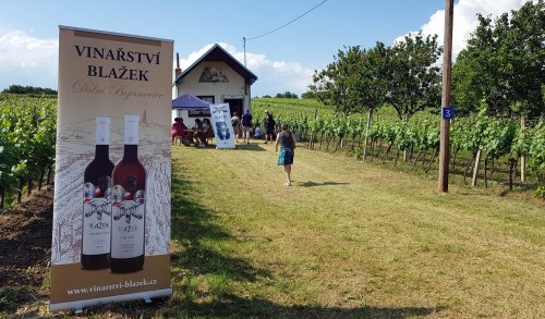 Vinný sklep uprostřed vinohradu