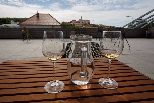 Degustace na terase vinařství Volařík s parádním výhledem