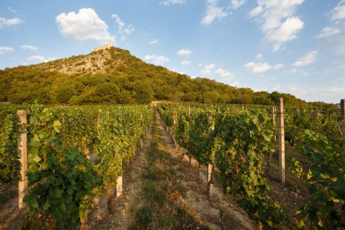 Nad obcí se nachází nepřehlédnutelná dominanta zřícenina hradu Děvičky