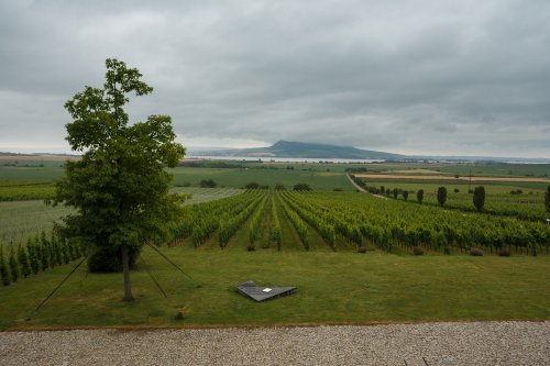 Výhled z vinařství Sonberk na stejnojmennou vinici a Pálavské vrchy