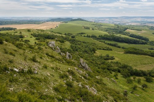 Pohled ze Stolové hory směr Mikulov