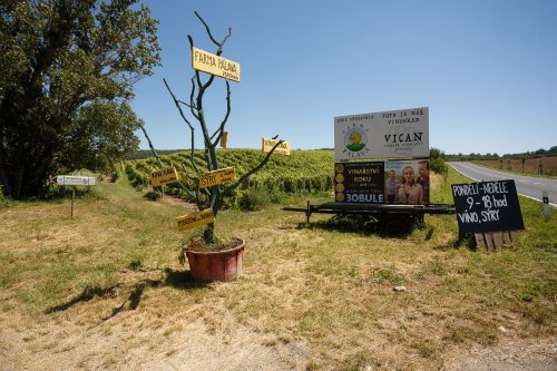 Modrá turistická značka nás zavedla do vinařství Vican