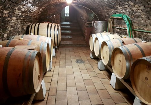 Ve sklepě se množí dřevěné sudy