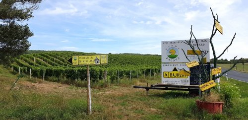 Z hlavní cesty do Lednice vás na farmu dovedou nepřehlédnutelné směrovky