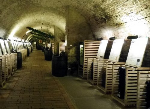 Salon vín - ilustrační foto