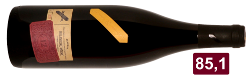 Rulandské modré 2015 Skoupil