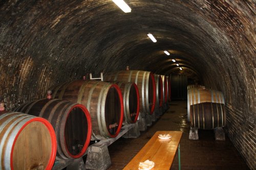 Den otevřených sklepů Čejkovice 2018: A neméně ukázkový sklep.