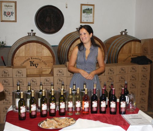 Den otevřených sklepů Čejkovice 2018: Vzácná chvilka klidu.