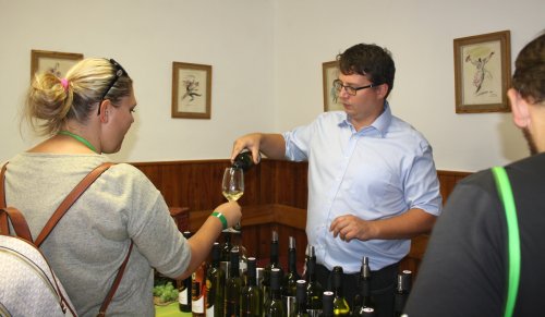 Den otevřených sklepů Čejkovice 2018: Pan enolog Zemědělské.