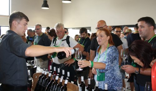 Den otevřených sklepů Čejkovice 2018: Pálava, Ryzlink, Alibernet...různá přání vínomilců.