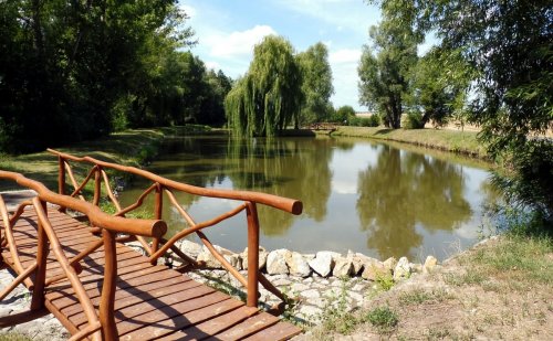 Po cestě z Chvalovic se můžete osvěžit u rybníka