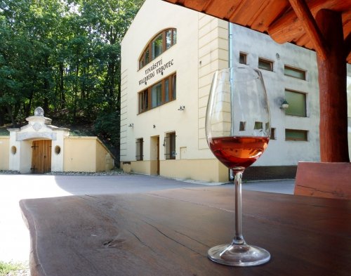 Stánek je v těsné blízkosti sklepa a haly Vinařství Waldberg