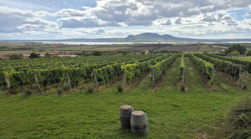 Fascinující výhled z terasy vinařství výhled na Pálavu