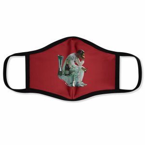 Obrázek vínomilce Gasly