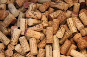 Obrázek vínomilce Zegoda