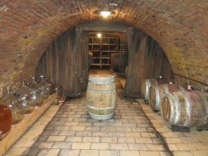 Obrázek vínomilce Víťa