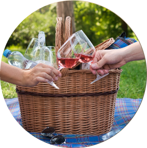 Salon vín ČRNárodní soutěž vín a stálá degustační expoziceObjevte 100 nejlepších vín ČR