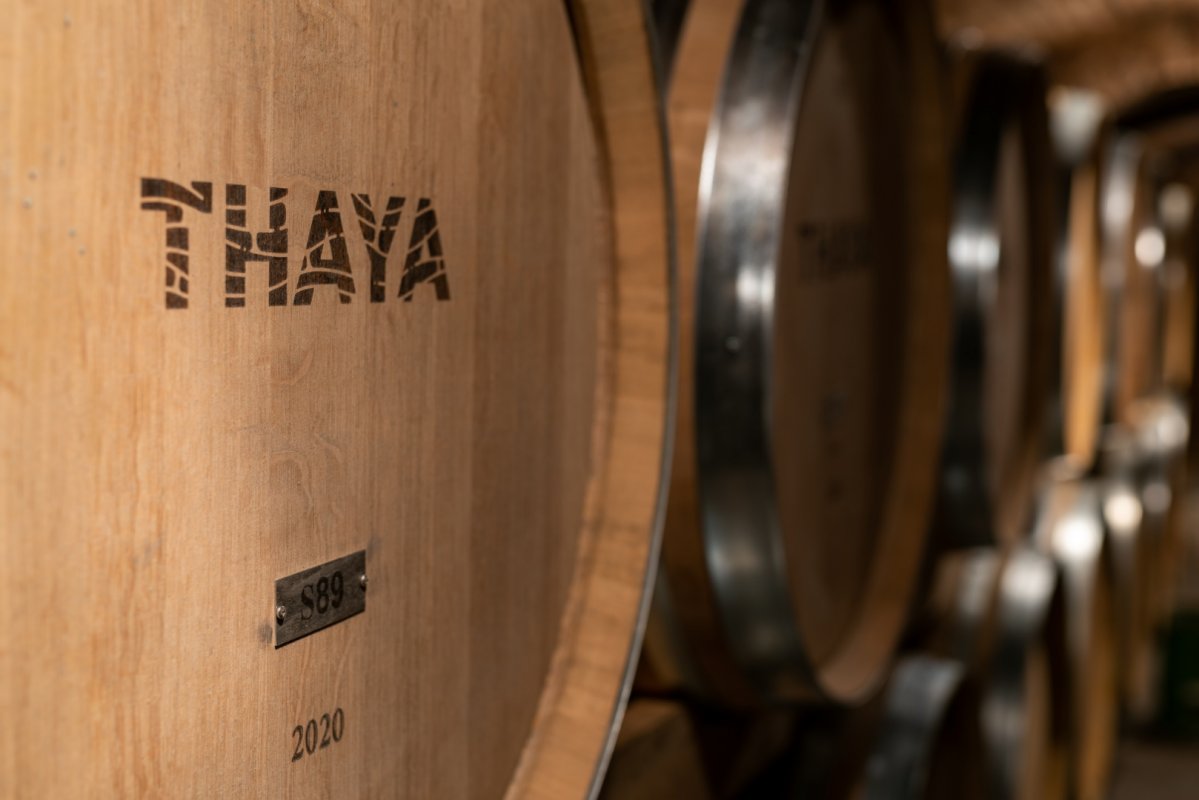 víno, vinařství, vinohrad, réva vinná