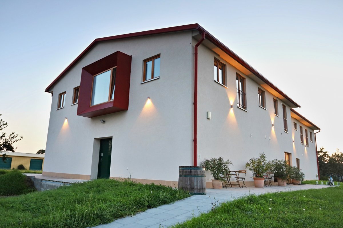 víno, vinařství, vinohrad, réva vinná