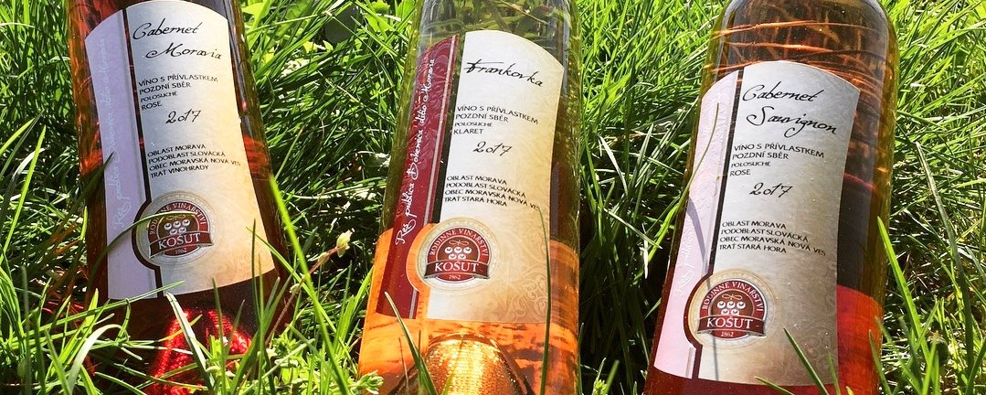 víno, vinařství, vinohrad, réva vinná