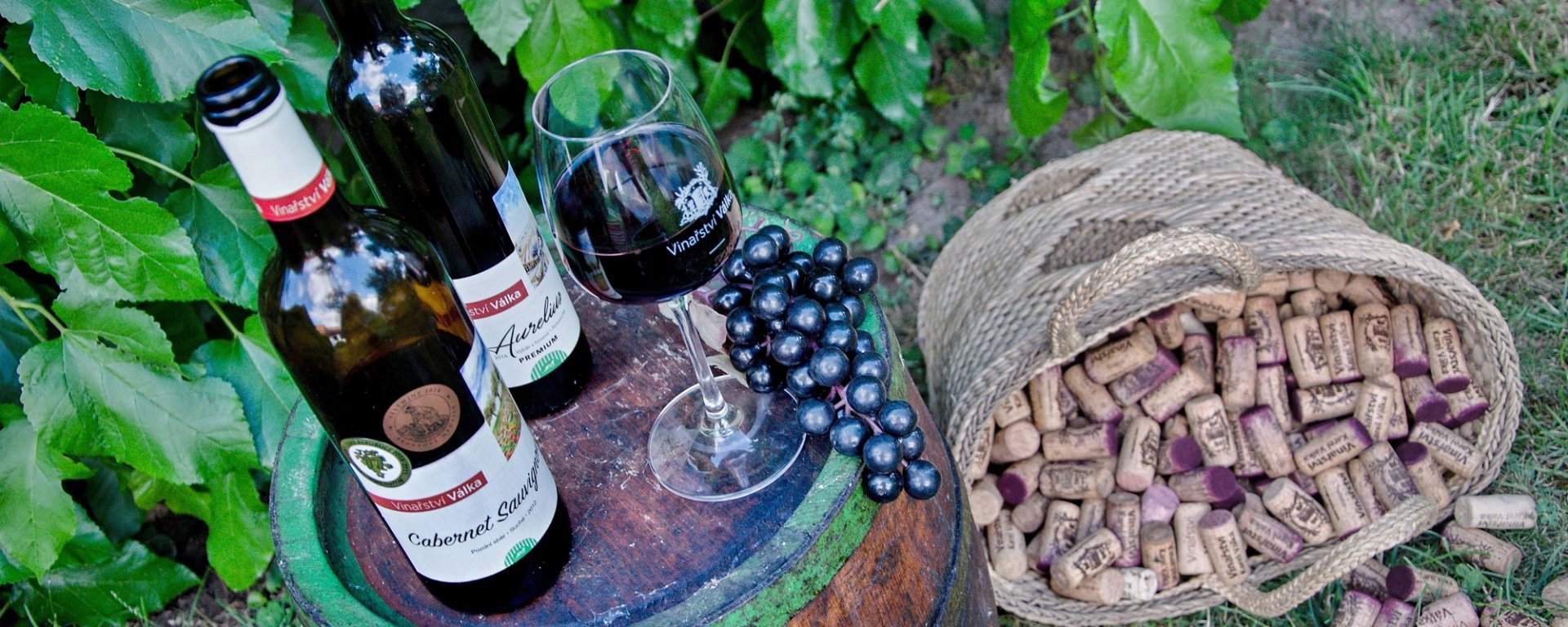 víno, vinařství, vinohrad, réva vinná