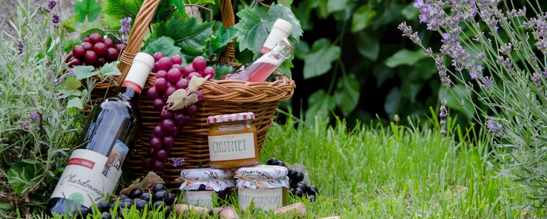 víno, vinařství, vinohrad, réva vinná