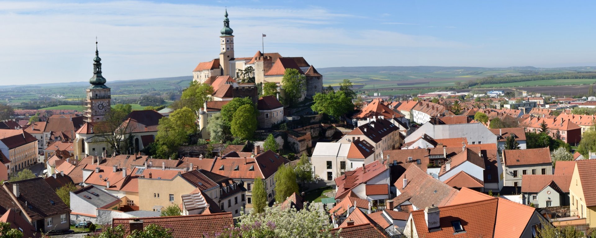 víno, vinařství, vinohrad, réva vinná