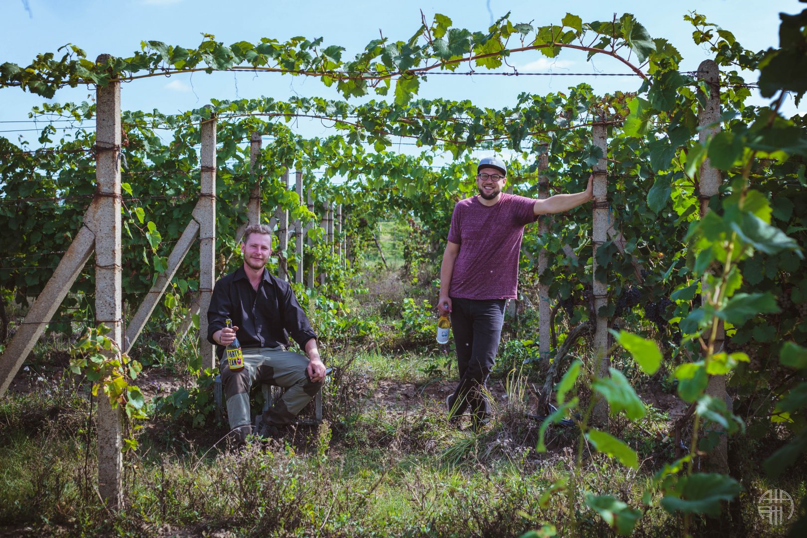 mikrovinařství Sklep Padesátosm