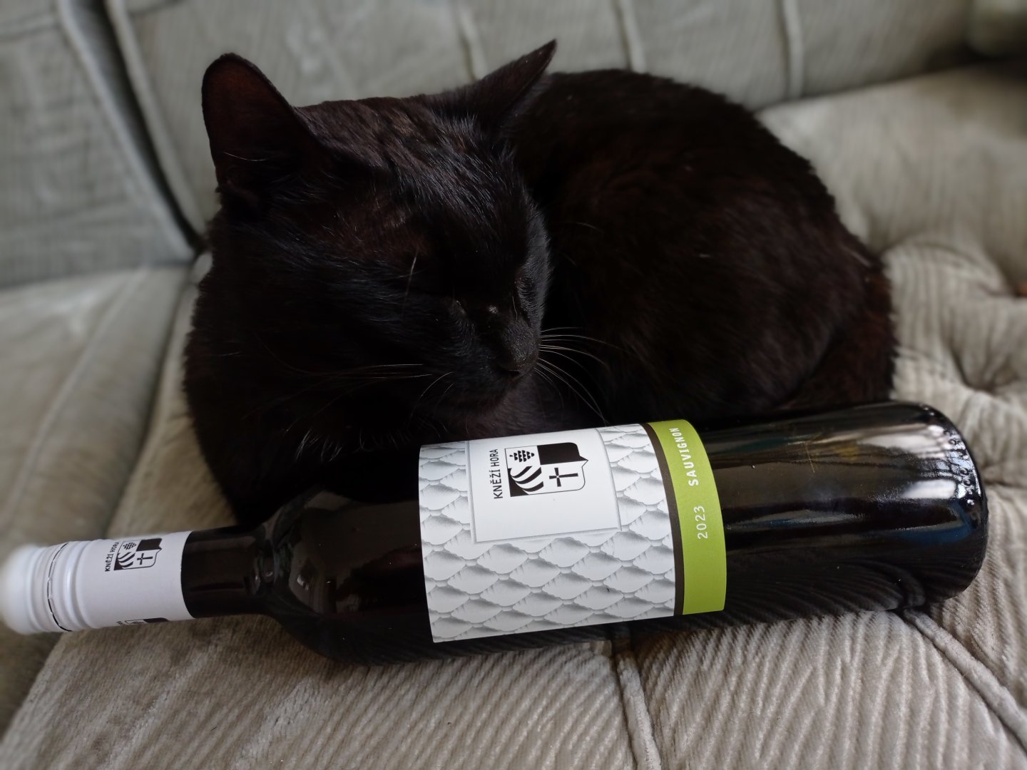 Lahev vína Sauvignon 2023, pozdní sběr (suché)