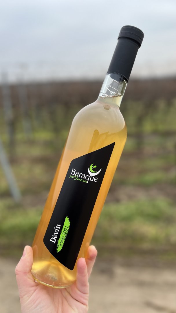 Lahev vína Děvín 2021, zemské víno (suché)