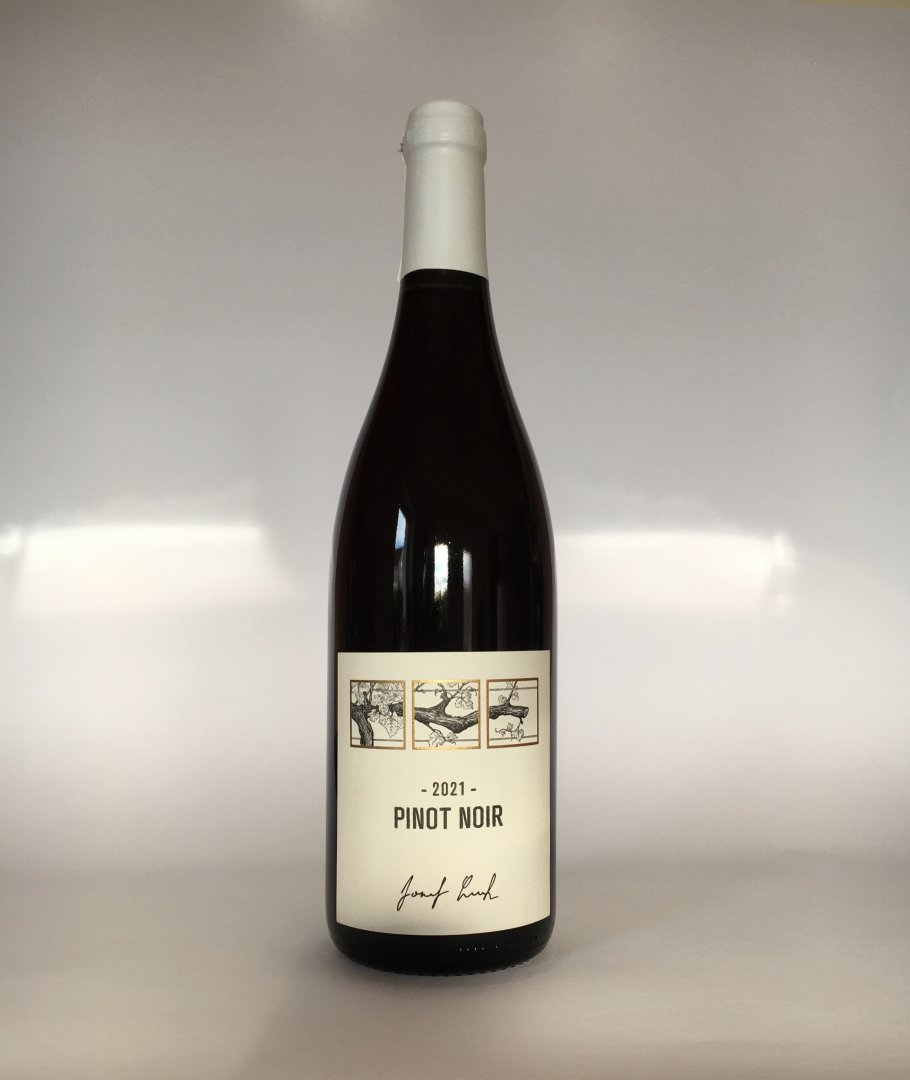 Lahev vína Pinot noir 2021, zemské víno (suché)