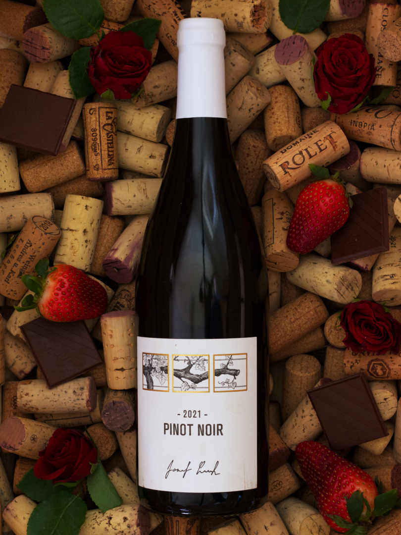 Lahev vína Pinot noir 2021, zemské víno (suché)