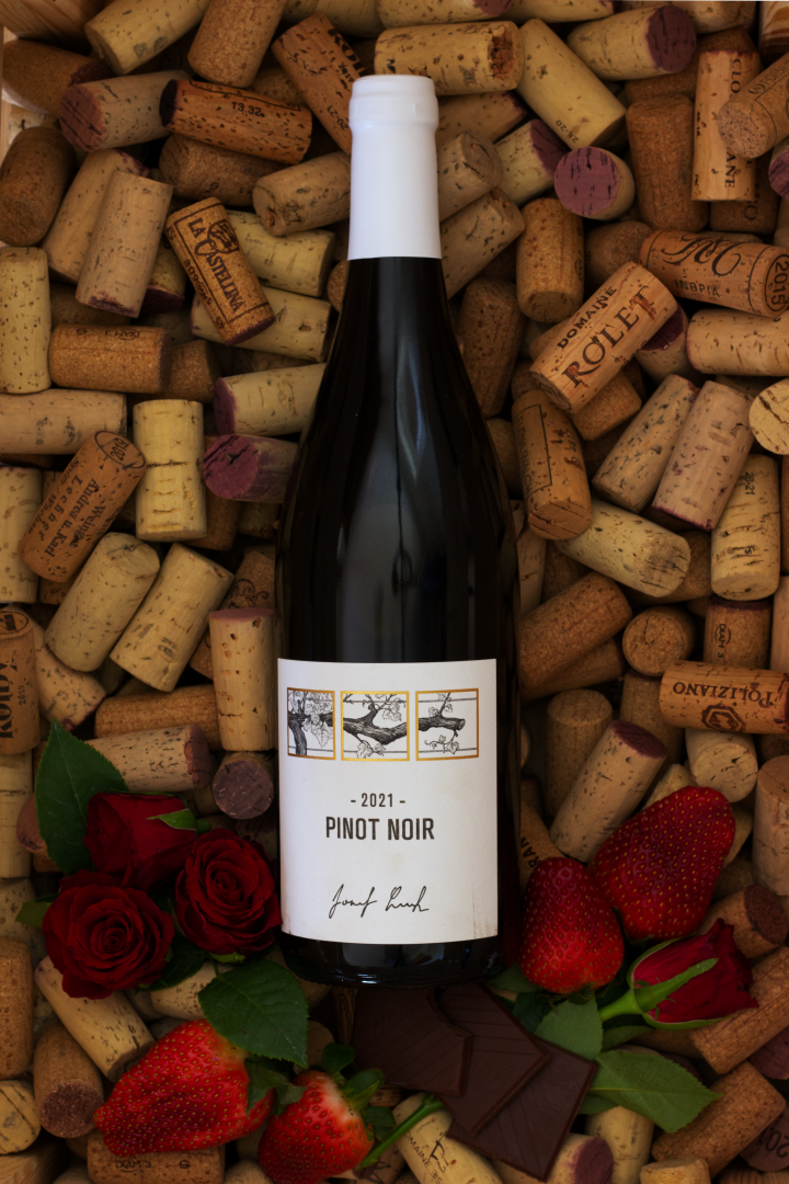 Lahev vína Pinot noir 2021, zemské víno (suché)