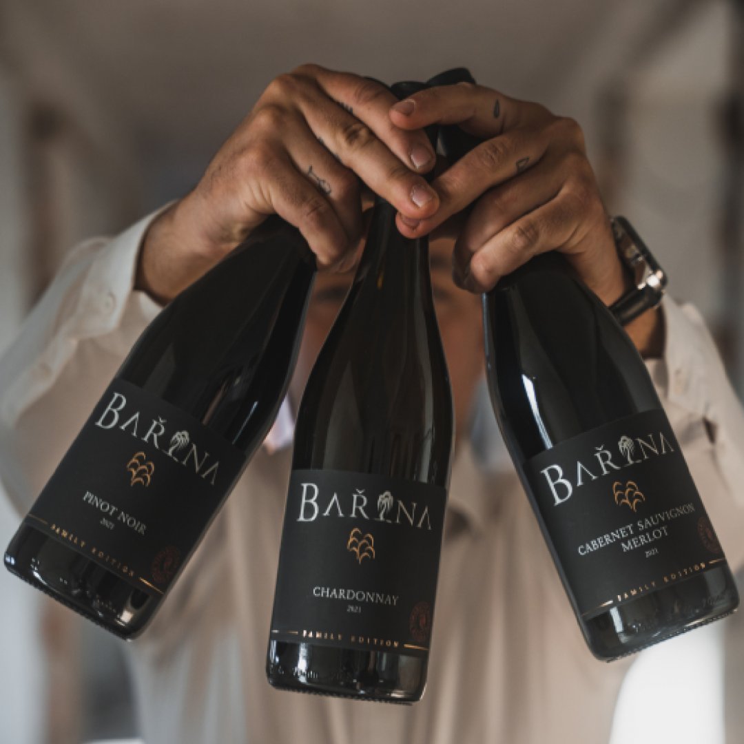 BEDNA FAMILY EDITION