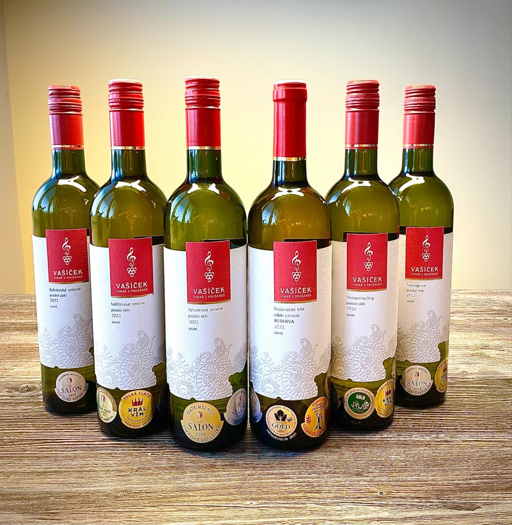 Salonní stříbrná šestka