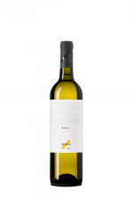 Sauvignon 2025