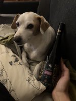 Svatovavřinecké (Svatomartinské) 2025