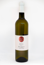 Sauvignon 2024, pozdní sběr